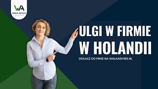 Ulgi dla przedsieĚ¨biorcoĚw w Holandii [upl. by Janeta]