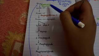 GLUCONEOGENESIS complete EASIEST explanation part 1 [upl. by Eedissac895]