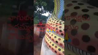 నాగుల చవితిపెద్దమ్మ దేవాలయంChoutuppalVMG CHANNEL [upl. by Nikkie115]