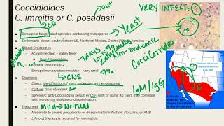 Coccidioides ParacoccidioidesTalaromycosis Penicillium [upl. by Ellyn956]