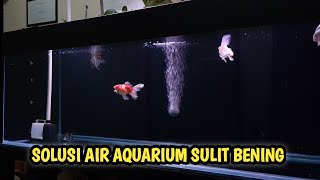 solusi air aquarium ikan mas koki sulit jernih [upl. by Hgeilyak352]