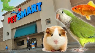 EXPLORING PETSMART  ANIMAL FRIENDS EVERYWHERE [upl. by Atnaloj]