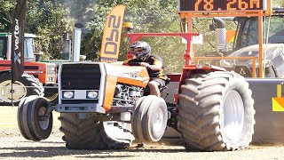 Tractor Pulling  Massey Ferguson 265 at Southern Field Days in Waimumu [upl. by Annuahsal]