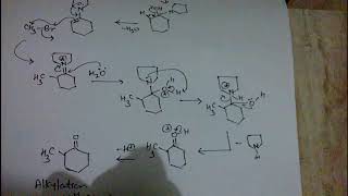 Alkylation of enamine part 2 [upl. by Maurine]