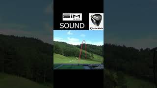 SIM MAX Driver SOUND short version [upl. by Drazze]