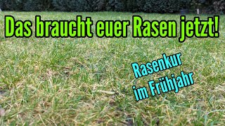 Rasen aus Winterschlaf wecken  Rasenkur im Frühjahr [upl. by Shellie]