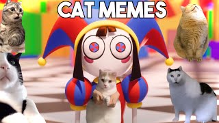 THE AMAZING DIGITAL CIRCUSCat Memes [upl. by Davidson]