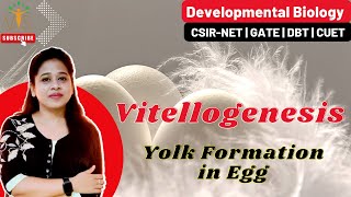 Vitellogenesis  Yolk Formation in Egg  Developmental Biology CSIR NET [upl. by Betty]