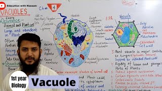 Vacuoles  Vacuoles structure and function  Class 11 [upl. by Yarvis305]