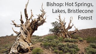 Exploring Bishop CA Hot Springs Lakes amp Ancient Bristlecones [upl. by Ttej318]