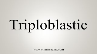 How To Say Triploblastic [upl. by Enyawud]