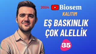 Eş Baskınlık Çok Alellilik  39 Günde TYT Biyoloji Kampı35  10 Sınıf Biyoloji Kampı8  2024 [upl. by Nyvets]