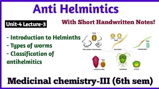 Anthelmintic Drugs Basic Introduction and Classification of Anthelmintic Drugs  Medicinal Chemistry [upl. by Guillema604]