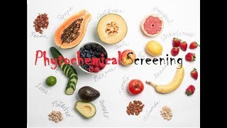 Phytochemical Screening [upl. by Hulda436]