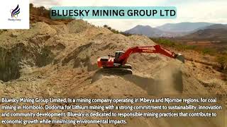 BLUESKY MINING GROUP LTD [upl. by Nyladnewg]