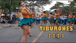 Tiburones Music Band  Correo de Acajutla 2023 [upl. by Capwell]