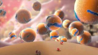 Amazing cholesterol animation from Cosmocyte [upl. by Edasalof56]