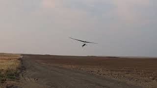 Atos VQ Race landing 72724 hanggliding [upl. by Maritsa]