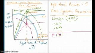 Easy Ways to Understand Cardiac and Vascular Function Curves [upl. by Wilbur319]