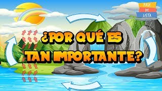 🌊QUÉ es y PARA QUÉ SIRVE El CICLO del AGUA 🙌 ✅Video EDUCATIVO [upl. by Syverson]