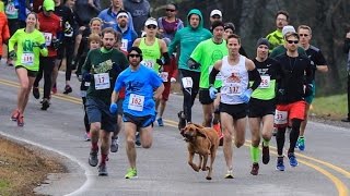 Dog Accidently Joins Half Marathon Finishes Race In 7th Place [upl. by Dorran]