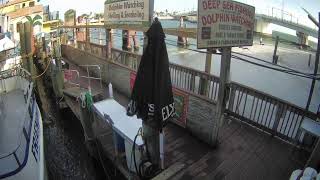 Hubbards Marina Dock Cam  Johns Pass  Madeira Beach FL  httpsHubbardsMarinacom [upl. by Oliy747]