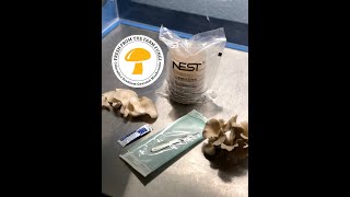 How to clone mushrooms from fruting body tissue [upl. by Wadell223]