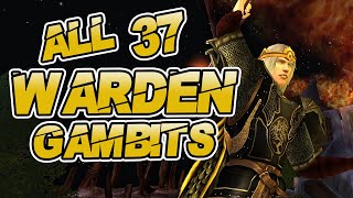 2019 All LOTRO Warden Gambit Animations [upl. by Ericha]