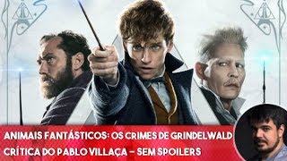 Animais Fantásticos Os Crimes de Grindelwald  Comentários SEM spoilers [upl. by Stila]