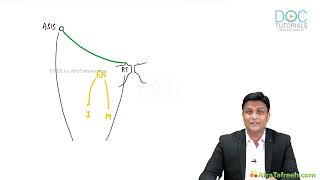 Femoral Nerve Anatomy amp Clinical Insights  Lower Limb Course by Dr M Azam [upl. by Olrac793]