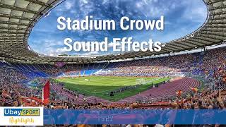 Stadium Crowd Sound Effects  1 hour [upl. by Stryker]