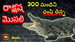 Most Deadly Crocodile in the World  Gustave  in Telugu by Planet Telugu [upl. by Adnamor320]