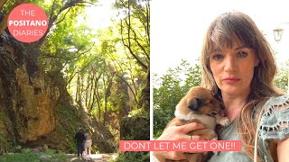 PUPPIES AND PICNICS IN POSITANO The Positano Diaries EP 151 [upl. by Hedvig251]