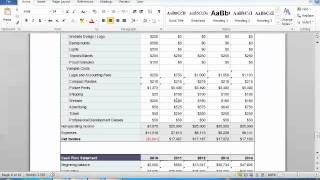 Business Plan Financials Tutorial [upl. by Slohcin]