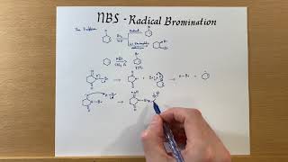 NBS Radical Bromination [upl. by Faubert]