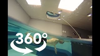 360 Endless Pool Swimming Half AboveHalf Below Water [upl. by Ahsirak]