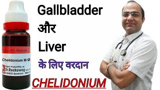 Chelidonium Fatty Liver  gall bladder stone  Jaundice [upl. by Siegler]