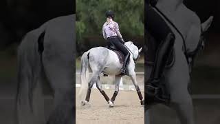 Find a Steady Contact with this Cool Hack contact dressage horses [upl. by Winchell]