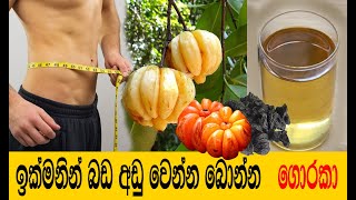 ඉක්මනින් බර අඩු කරන ගොරකා පානය Goraka drink for weight loss  Kettu Wenna [upl. by Madaih]