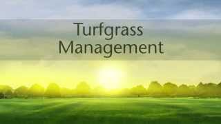 Turfgrass Management [upl. by Anthia]