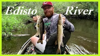 Fishing on the Edisto River [upl. by Uis]