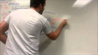 Easy Glycolysis Pathway [upl. by Irrej]