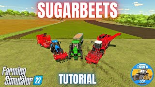 HOW TO GROW SUGARBEETS  Farming Simulator 22 [upl. by Ronnholm834]