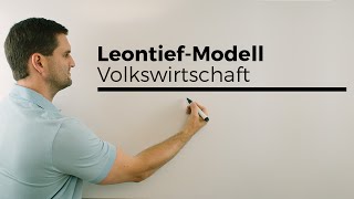 LeontiefModell Güterströme einer Volkswirtschaft Berufskolleg Wirtschaft Verwaltung [upl. by Koren282]