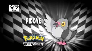 Pokemon Black and White  Return of Whos that Pokemon 1 HD [upl. by Ynes862]