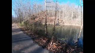 Biking Mineral to Moonville  Moonville Rail Trail [upl. by Ecinnahs]