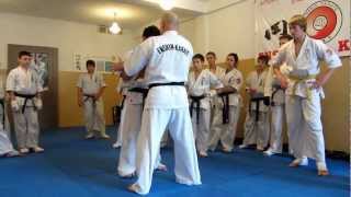 Ashihara Karate Ukraine Enshin Karate Ukraine Winter Seminar 2013 [upl. by Yrroc]