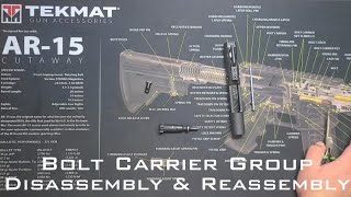 AR15 Bolt Carrier Group How to Field Strip  Disassembly amp Reassembly [upl. by Notlih]