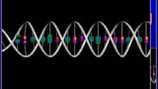 Recombinant DNA [upl. by Lobell]