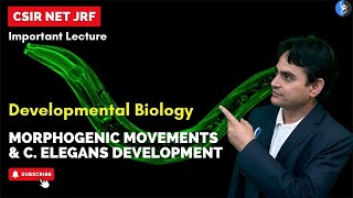 L16 I Morphogenic Movements amp C elegans Development I IFAS I CSIR [upl. by Nike]